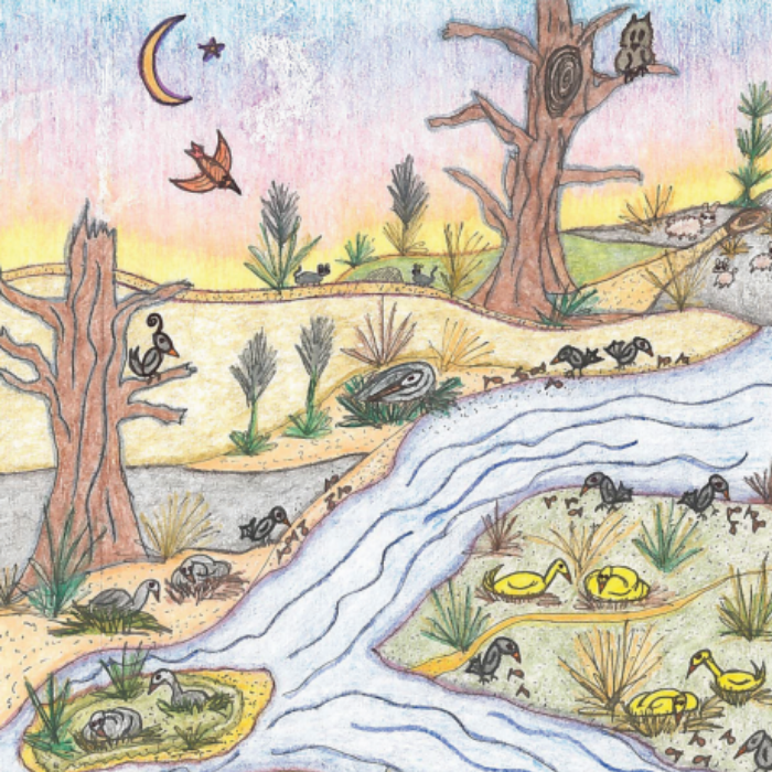 Delve into the magic of Curly Crow Children's Book Series – First 1st in the series